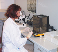 Chemically Resistant4 NCC